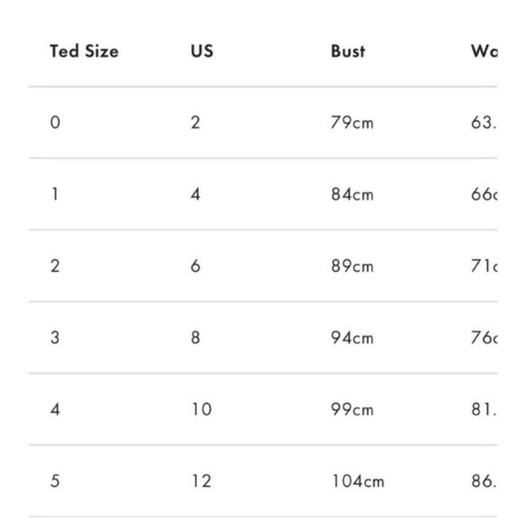 Ted Baker London Cheskka Navy Blue Lace and Mesh Skater Dress Ted Size 4 (US 10) - Picture 14 of 14